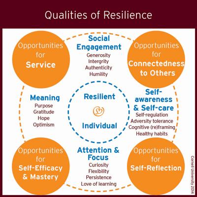 Qualities-of-Resilience_400