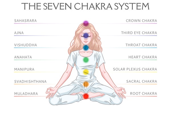 The Root Chakra: The Chakra System Part 1