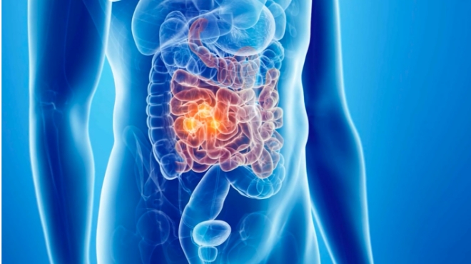 Where most gut-health advice stays too surface-level