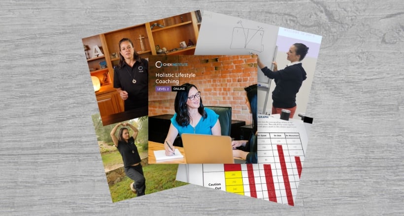 HLC Level 2 Online