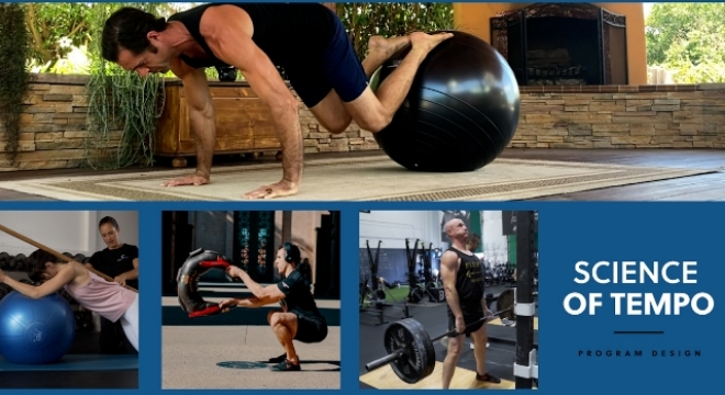 The CHEK Success Formula in practice